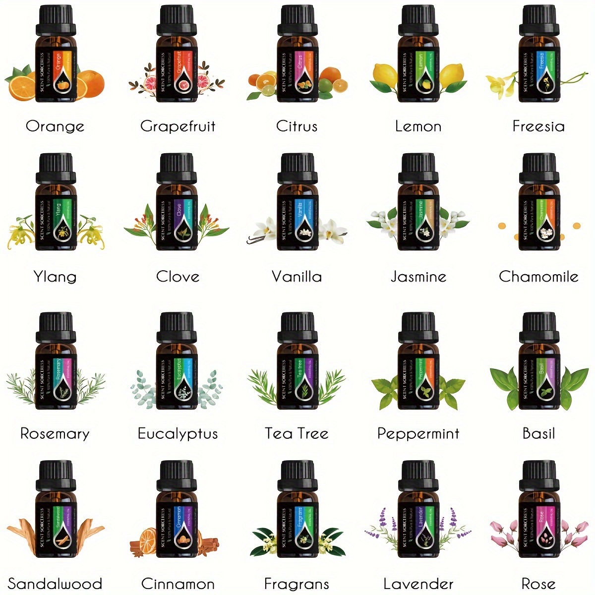 20pcs/set Essential Oil Set La - Spa Y Wellness ulasan dan harga